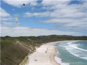 A good day at Mutton Bird