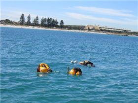 The Tandem had a problem at the start