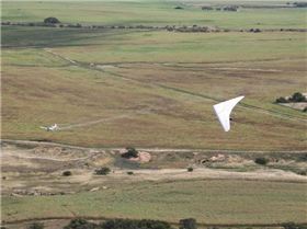 Dog fight with a crop duster