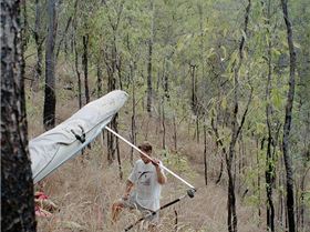 J.C.s Koala endorsement!