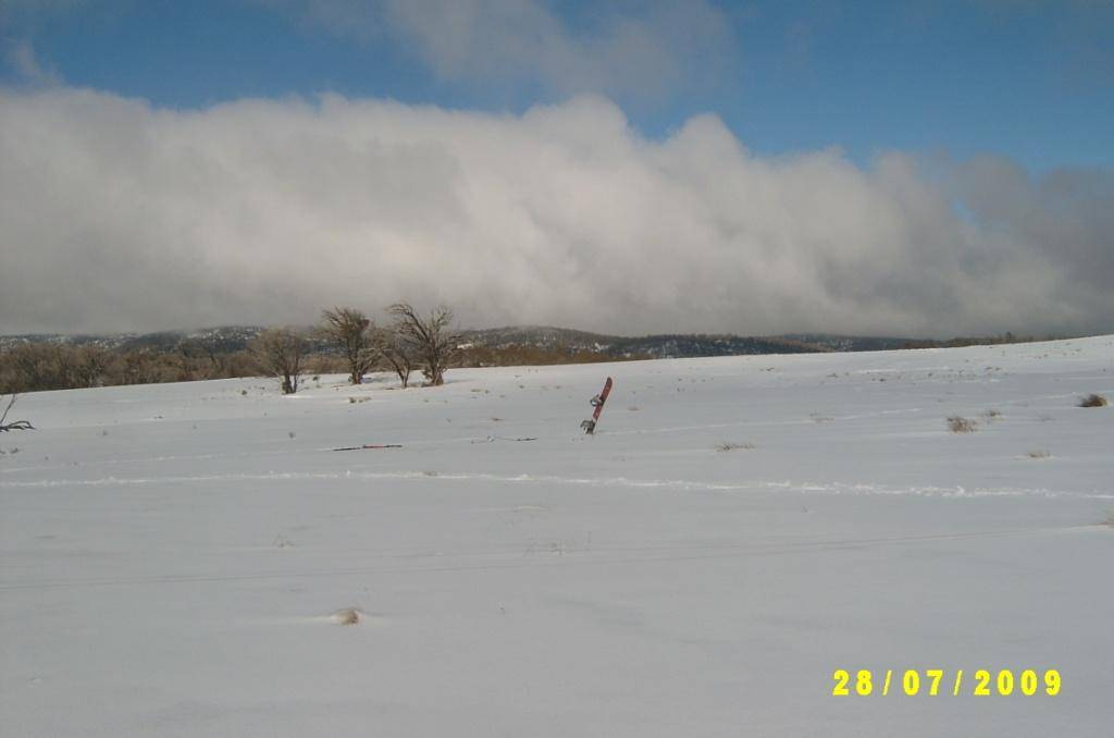 Sample of open country on plateau above mt Selwyn lifts