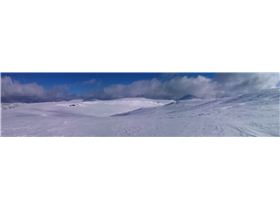 Bowl Between Scott's & Summit