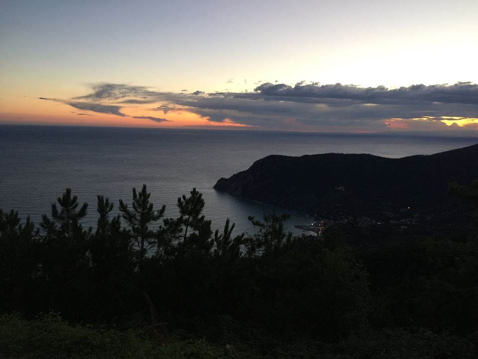 12002903 482815001901395 6563970927873959534 n