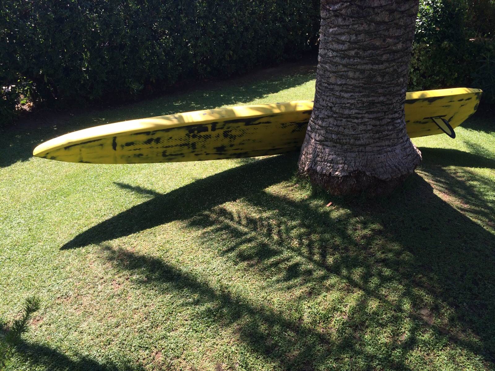 OLA - PINGUIN 4mx22'