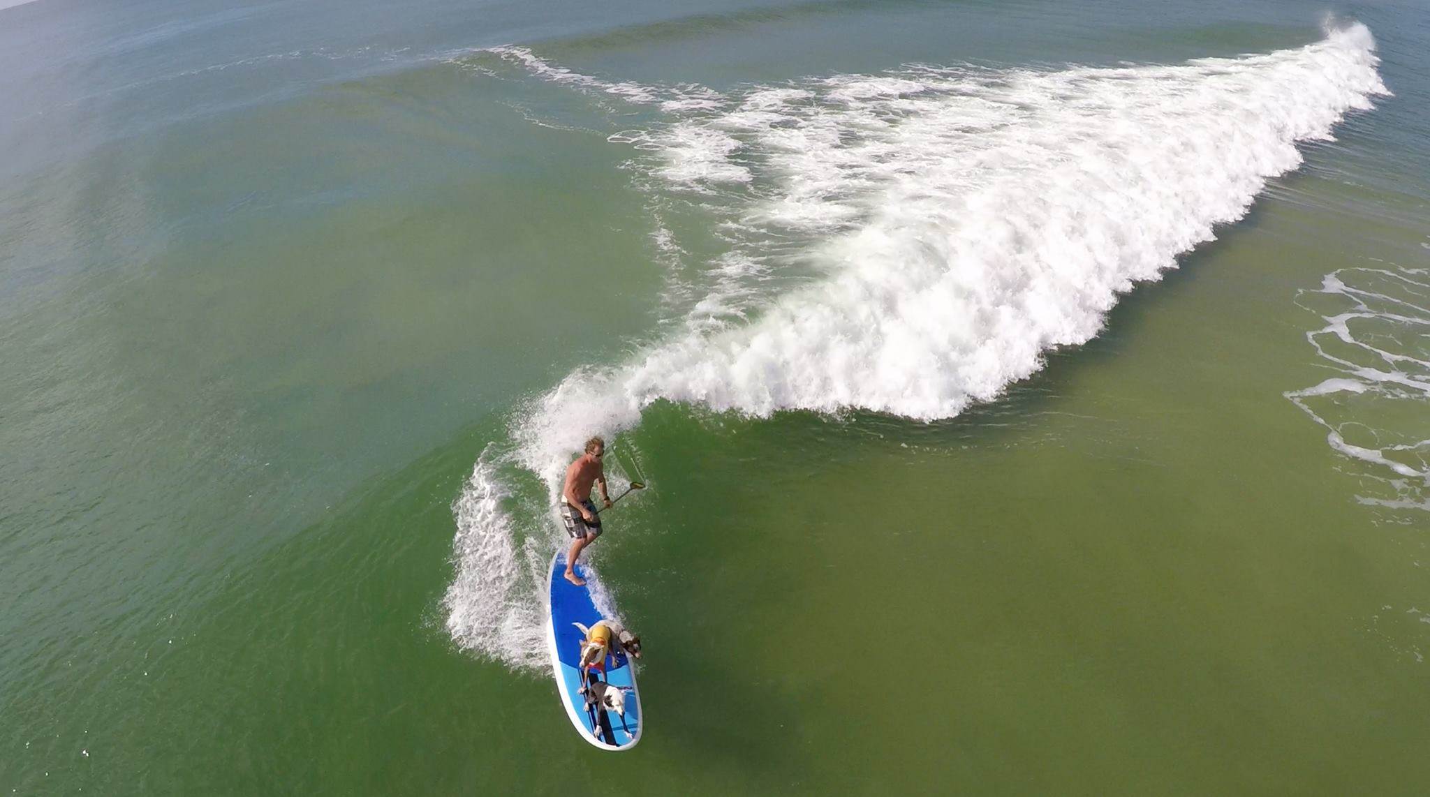 11537830 907233419319601 2115633673120870031 o