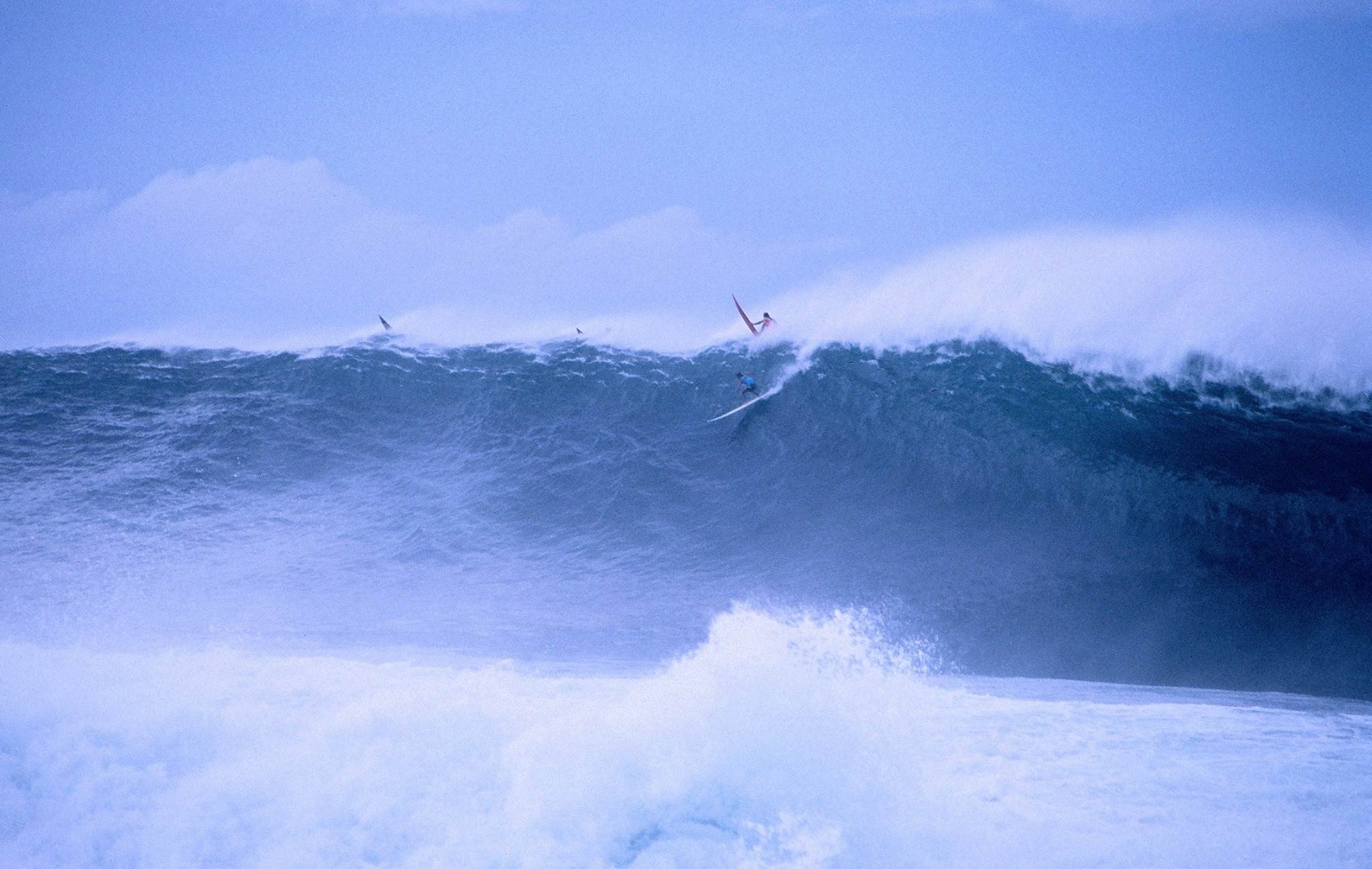 12615503 10154026799399359 7283160793088603995 o