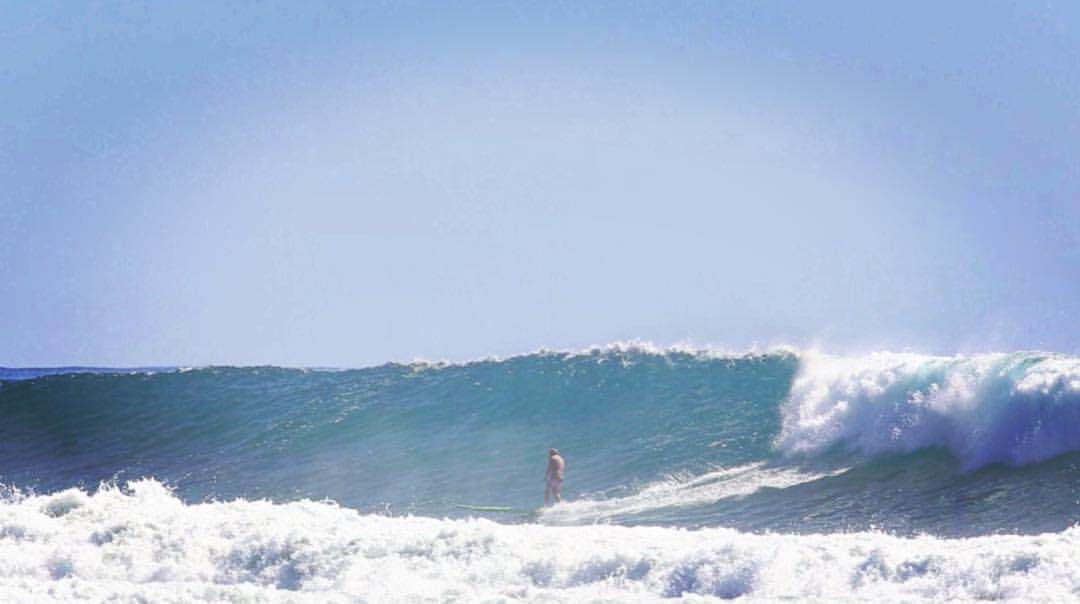 12419116 10153776070600189 1503280072669958798 o