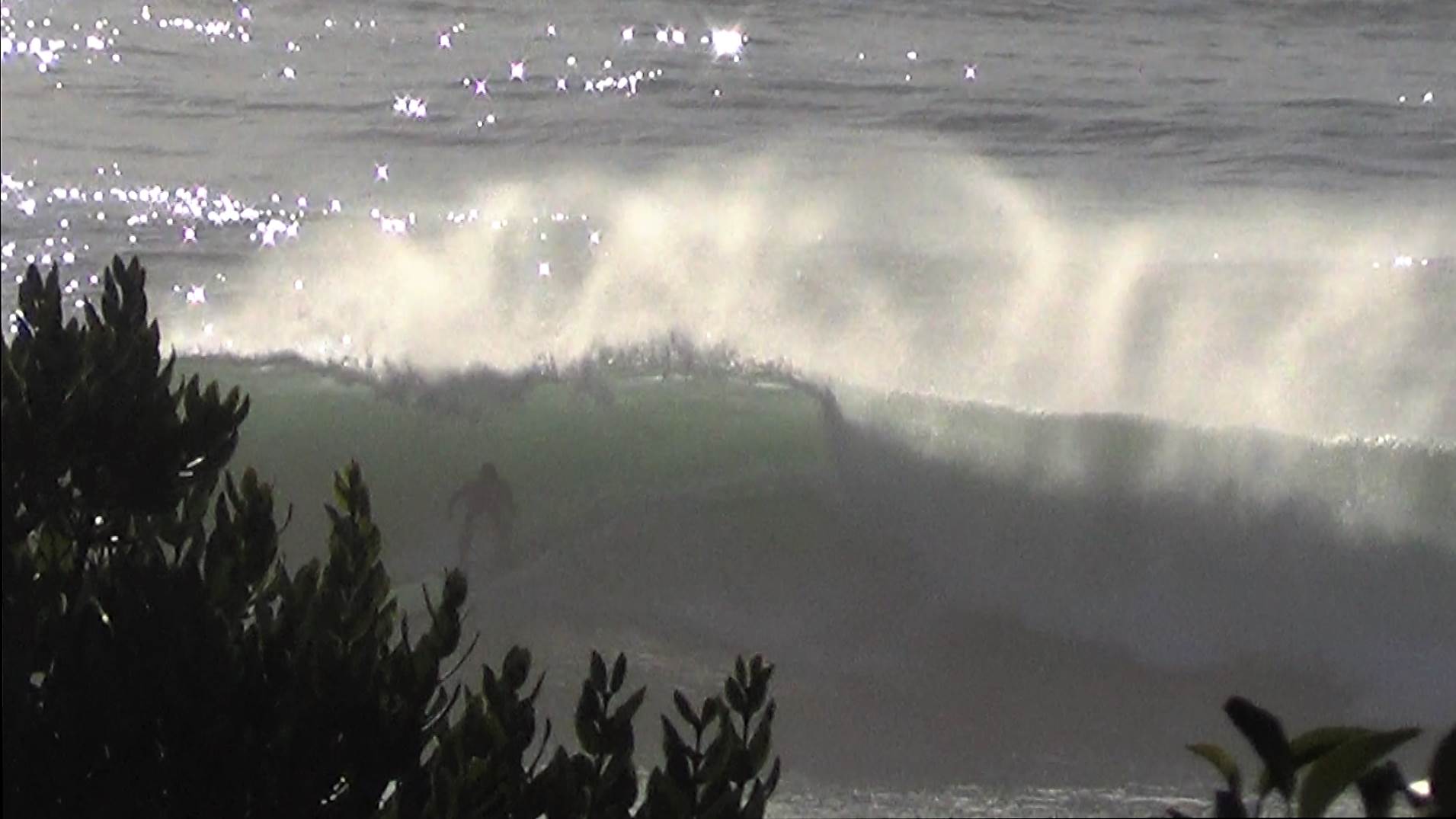 Sequence 01.Still001