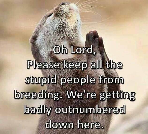 10176233 572128412903544 913743058809486966 n