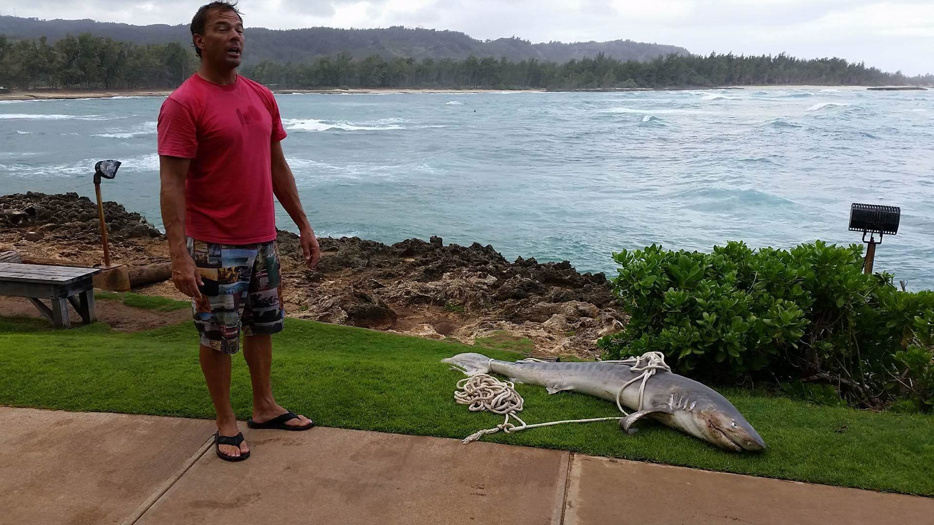 received 1775542256036470