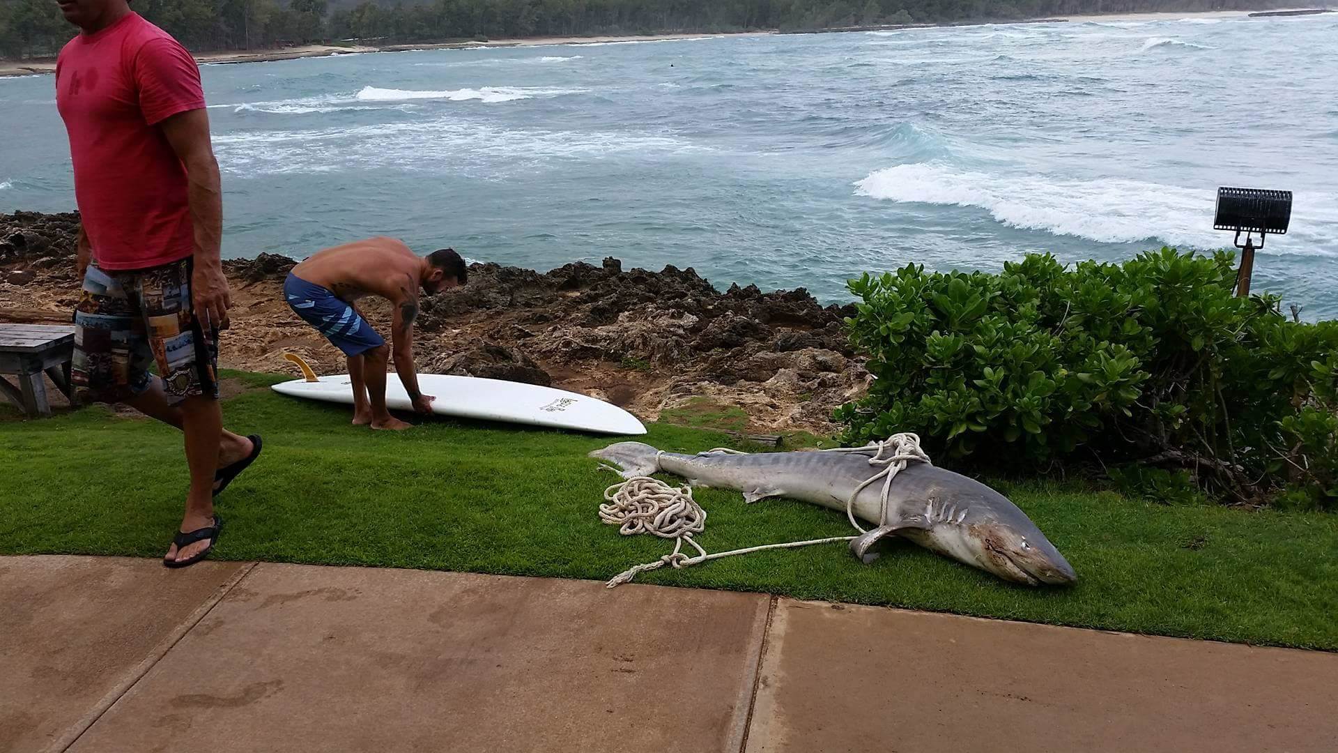 received 1775542309369798