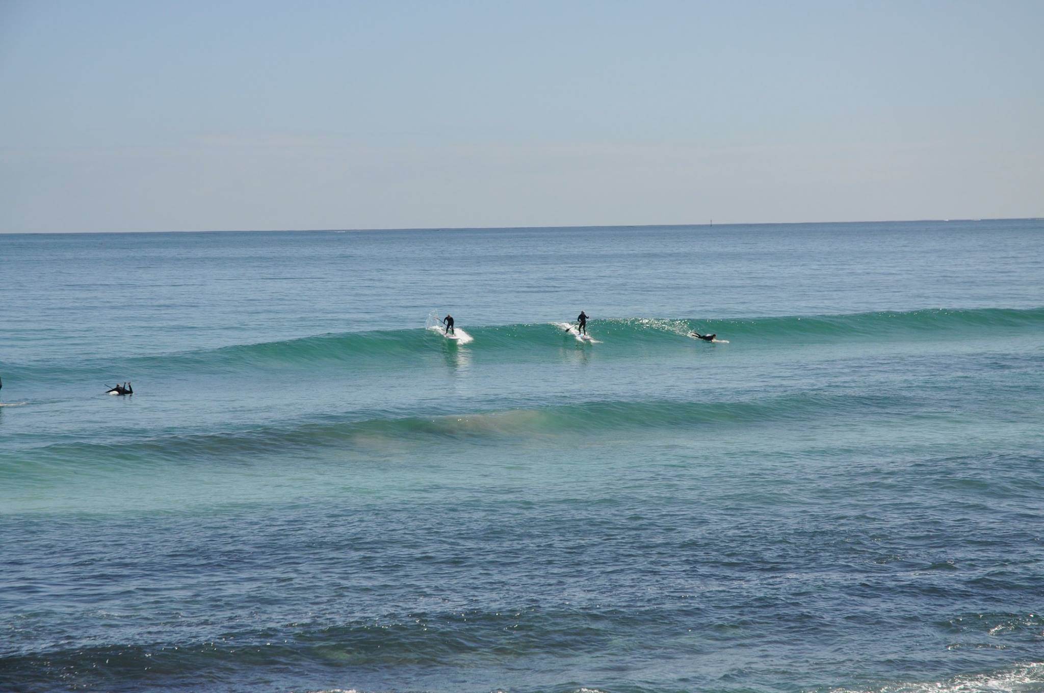 14124529 1455689997778679 453826138282651312 o