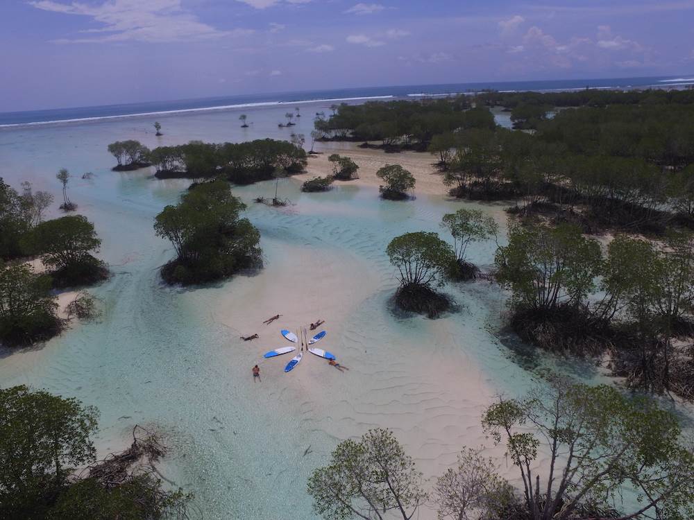 2017 Blue Planet Stand Up Paddle boards1000