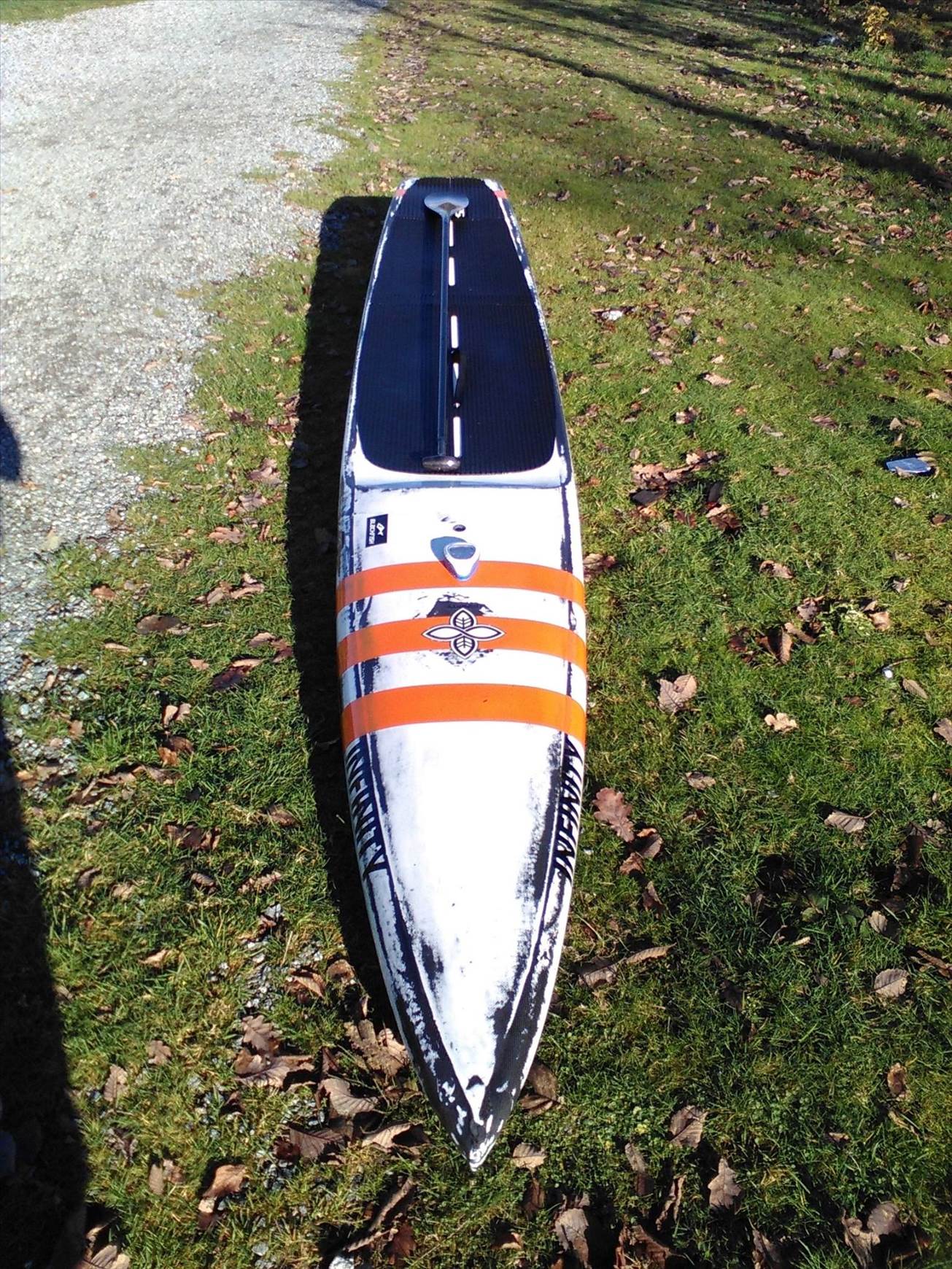 15304351 405528709778354 9146178063593710342 o