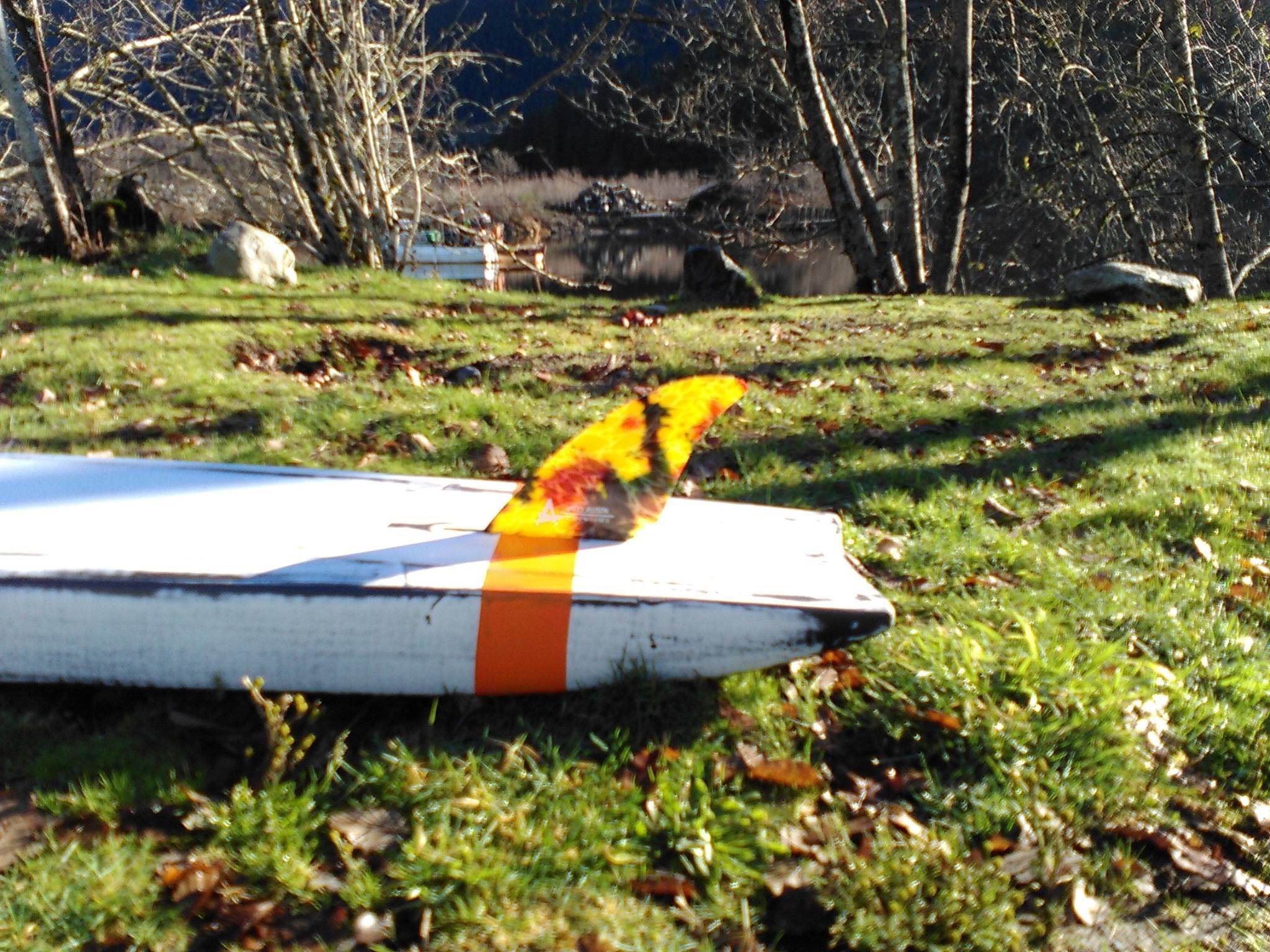 15304289 405528649778360 2200471015751155186 o