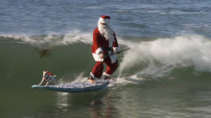 69778 482171394311 2283673 n