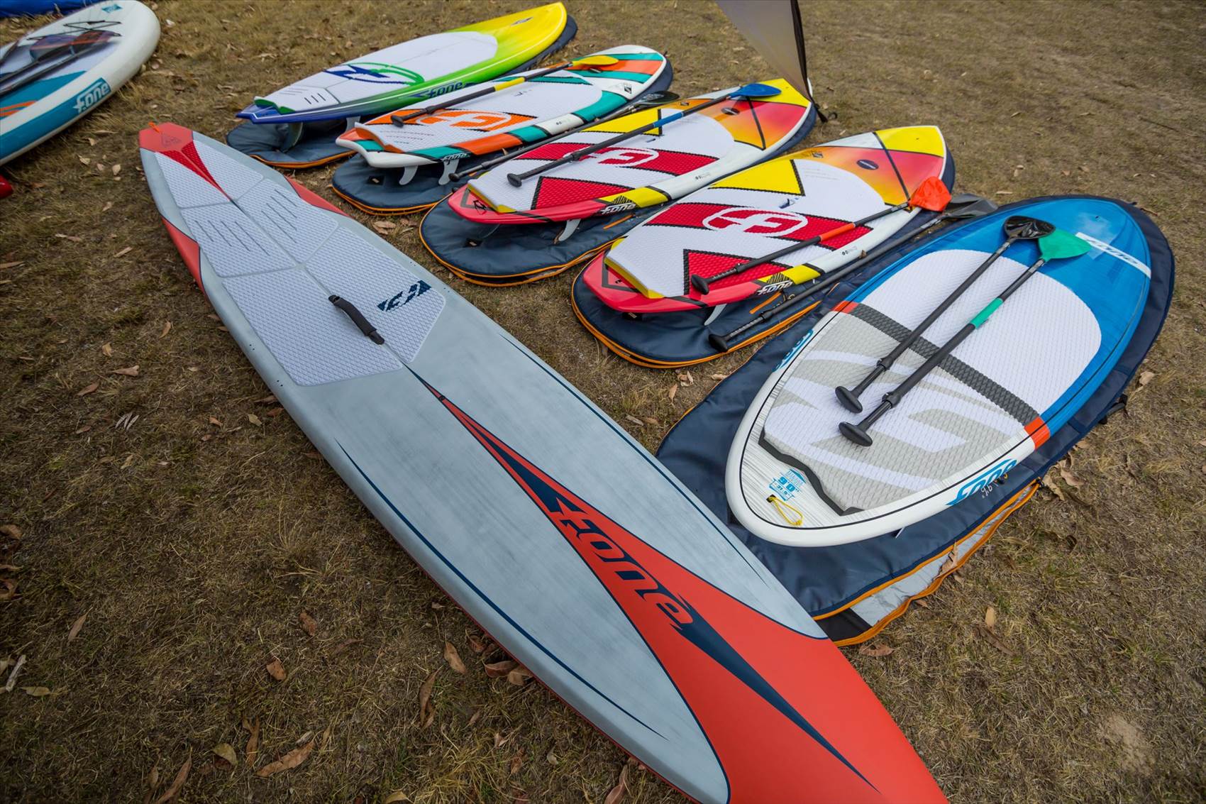 15196049 1366204093410761 2448477813876508875 o