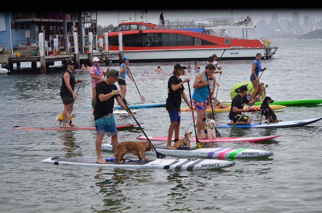 16326248 10210478211844649 2137969604 o