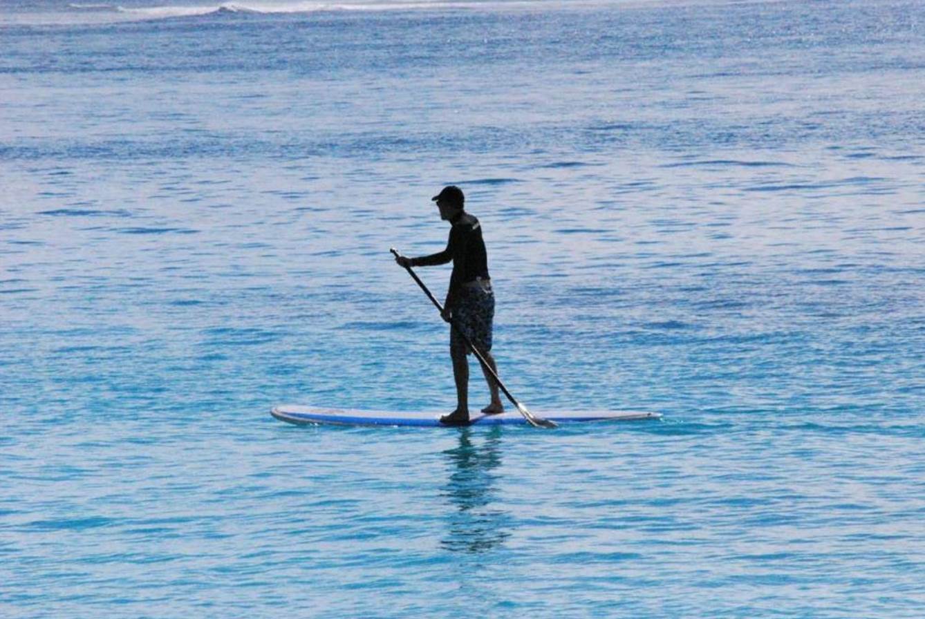 Screen Shot 2017-02-23 at 12.44.52 am