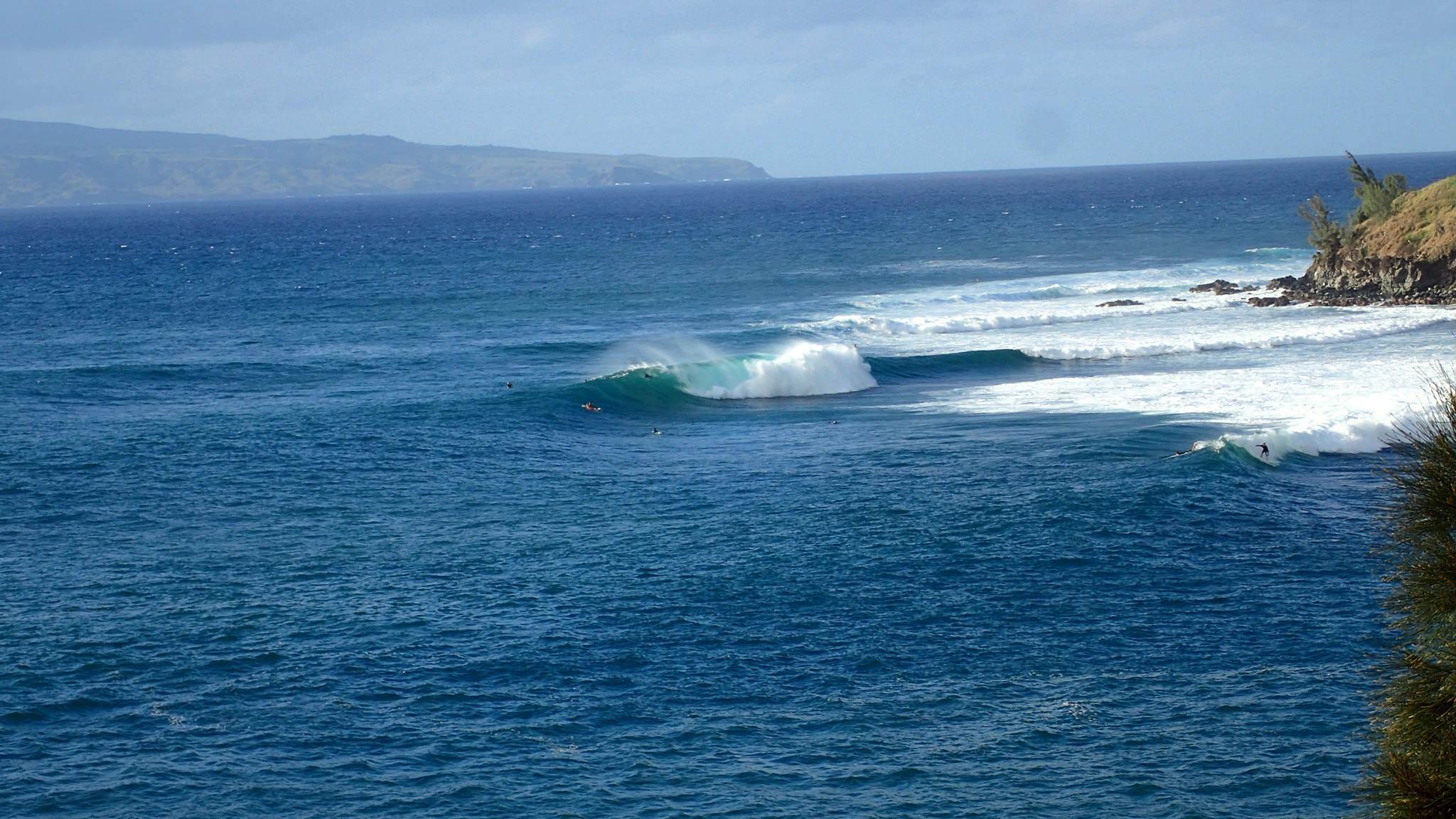 16487734 1801219683536388 4169119764065041931 o