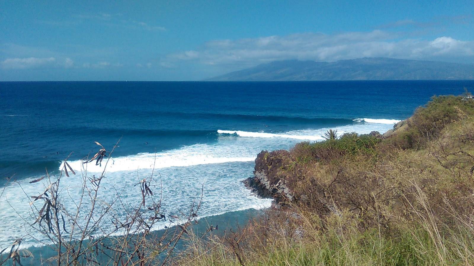 16601650 1800930580231965 4669021835485729279 o