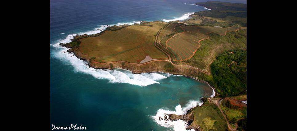 16700440 1806118763046480 678248208559027723 o