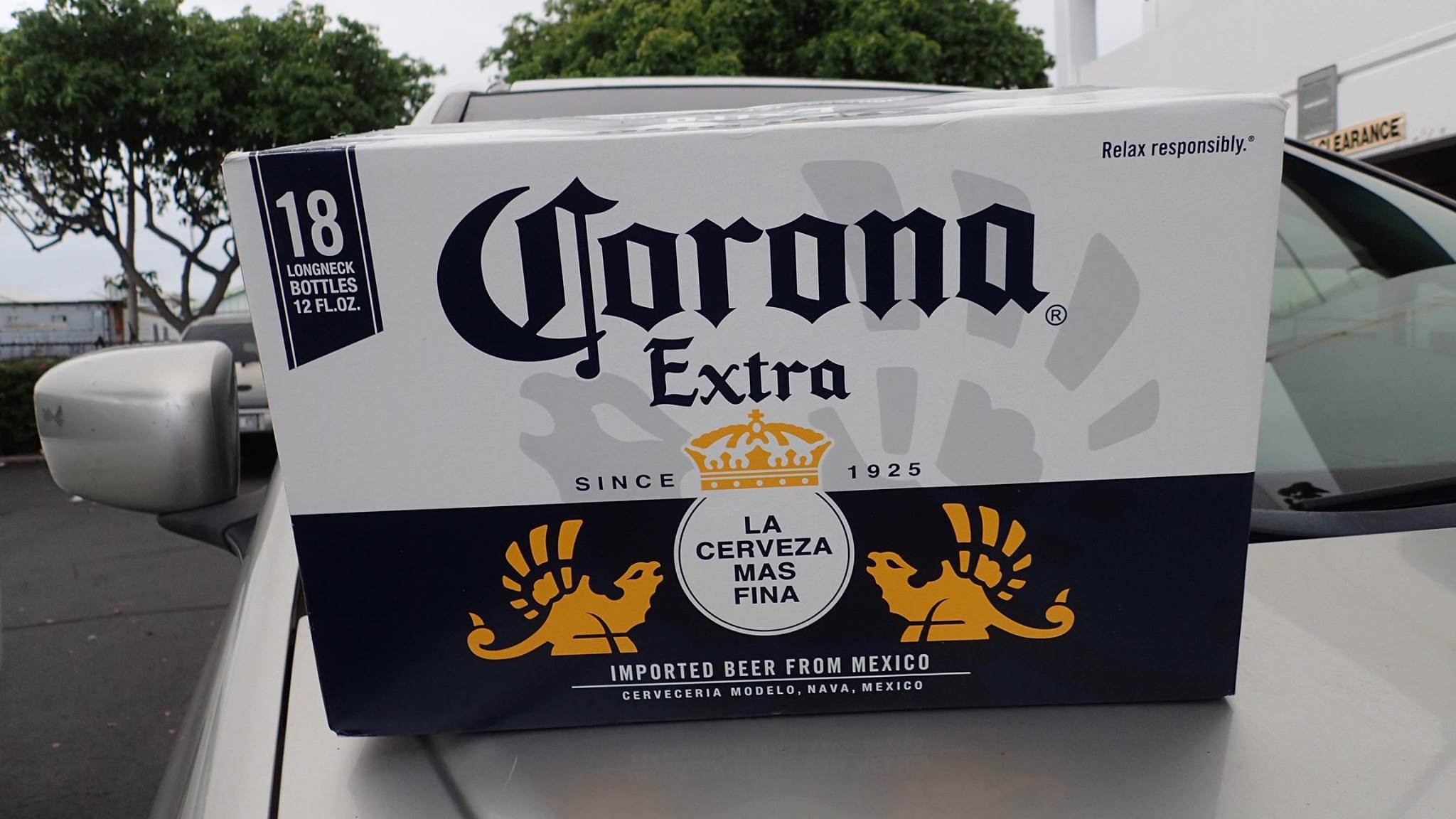 16707256 1806123223046034 6281173979373769667 o