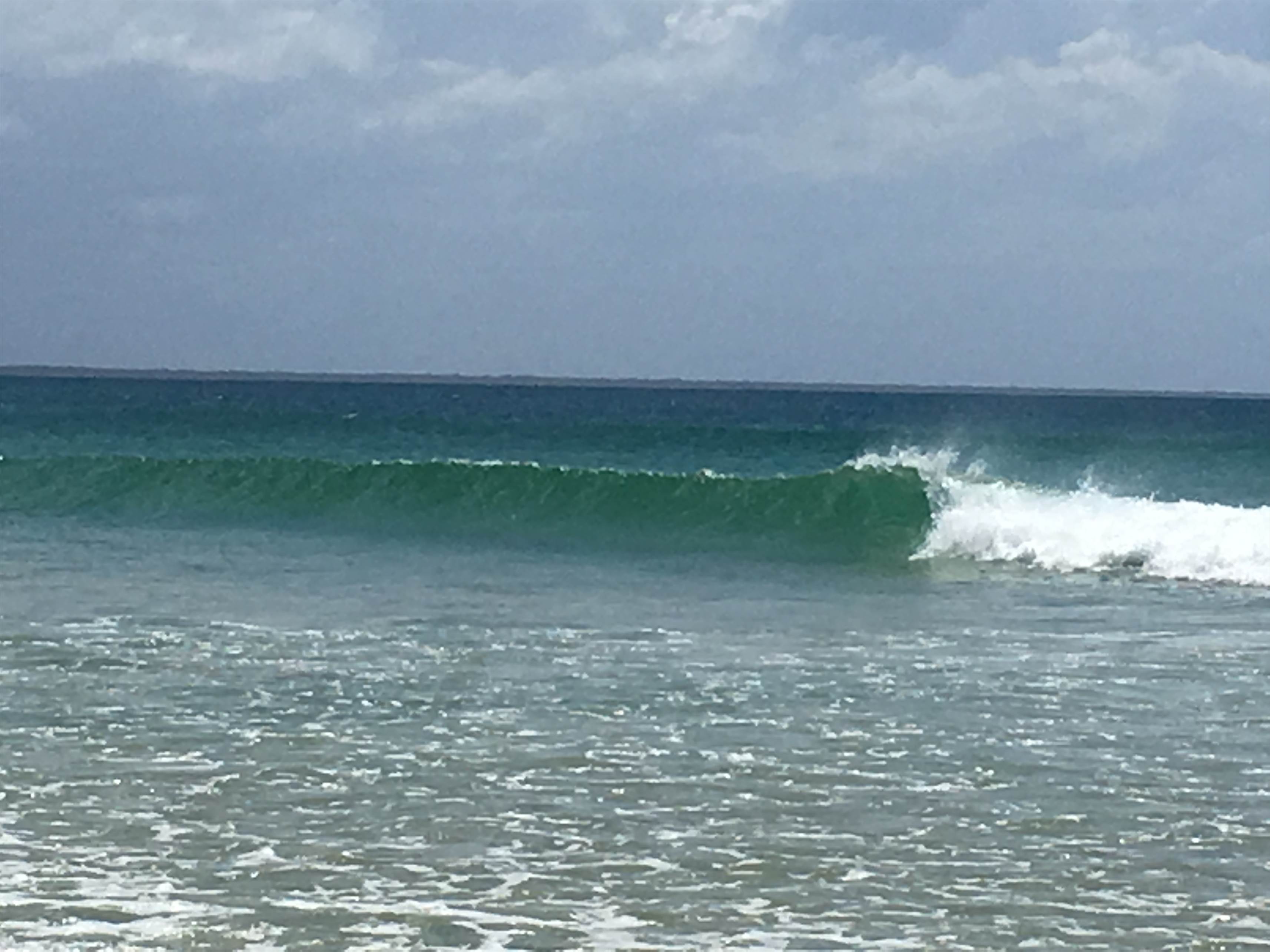 Beach Trip 09/03/2017