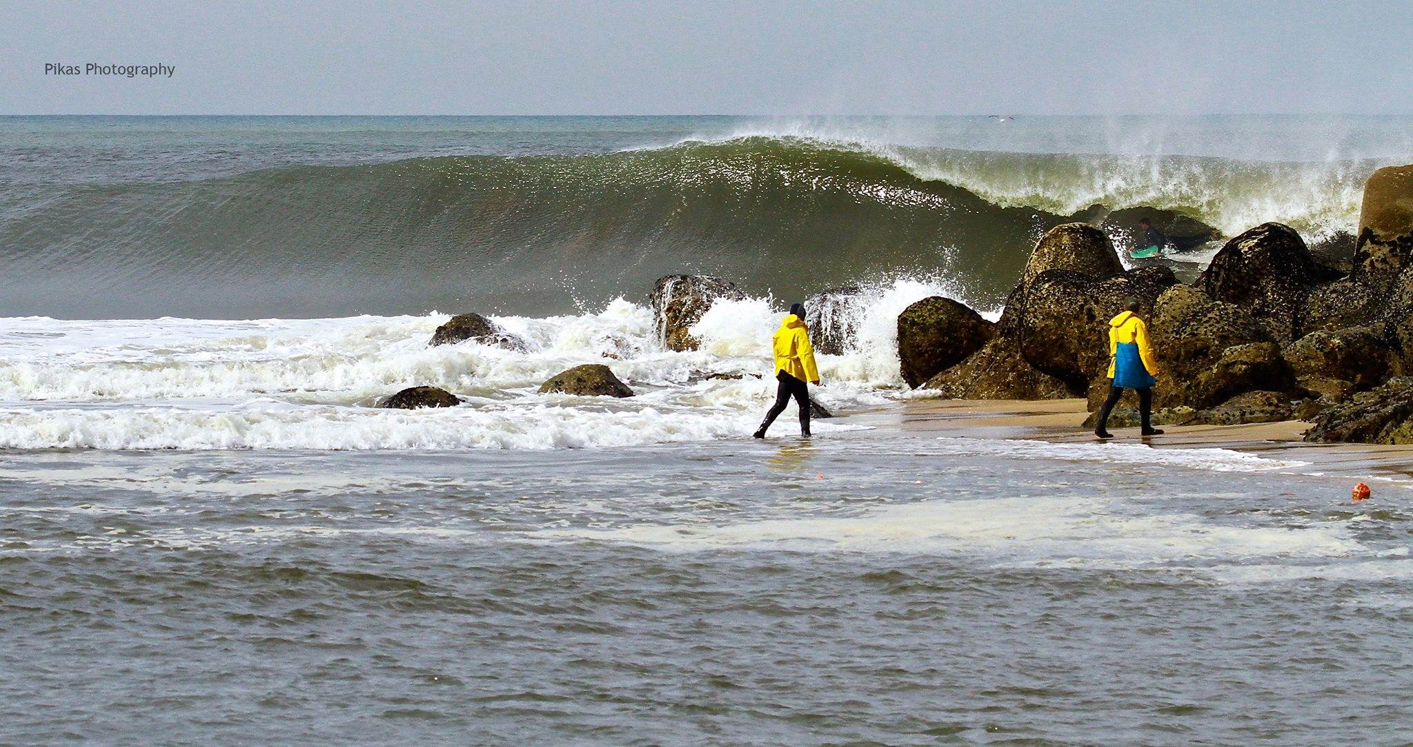 17349982 1273749542739689 4033499821733507522 o