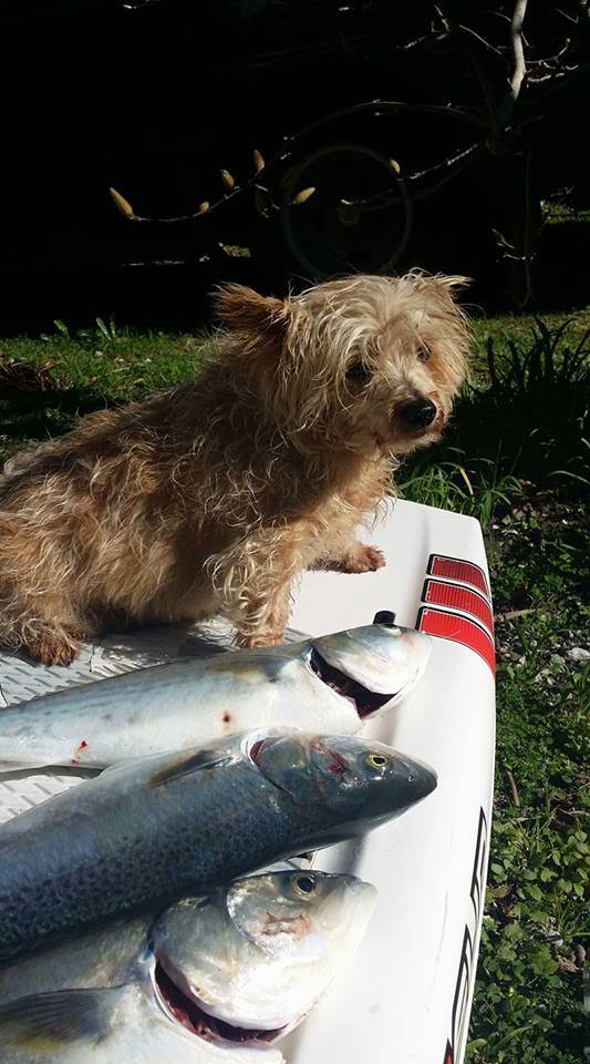 20882244 10155690314739312 4730130759070543840 n