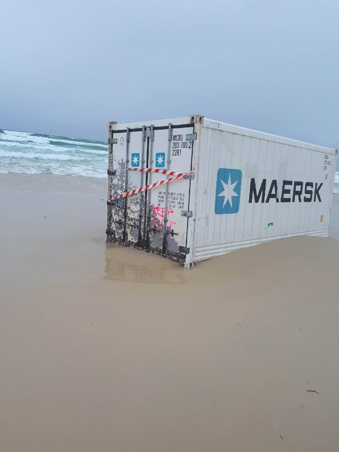 28954095 10156270464394669 4948103697559769646 o