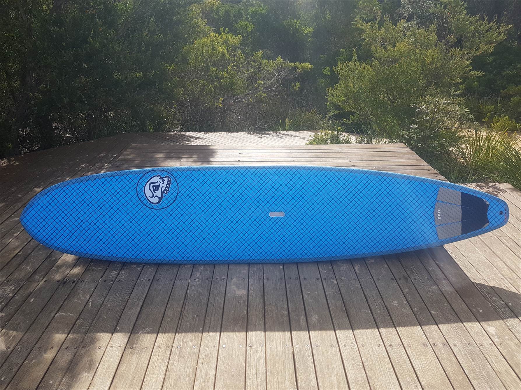McKill 10' longboard SUP