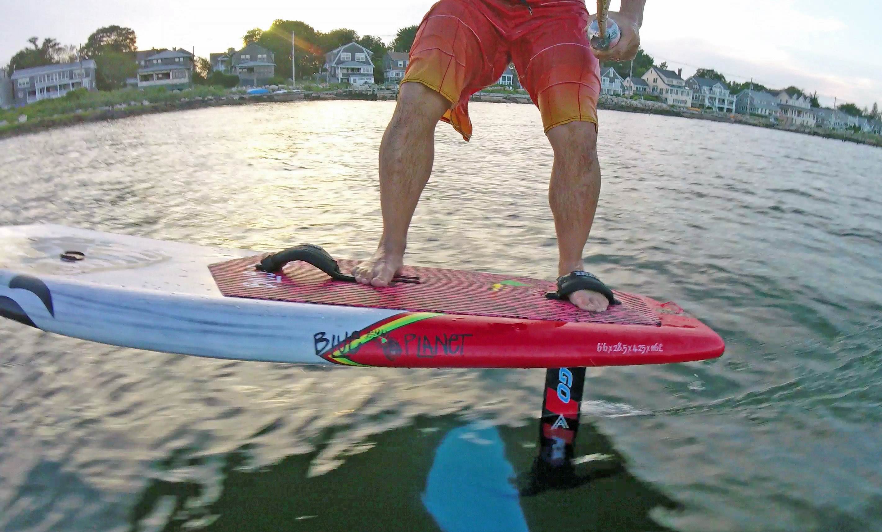 2018 08 14 No Tail No Problem 20 Front Foot2