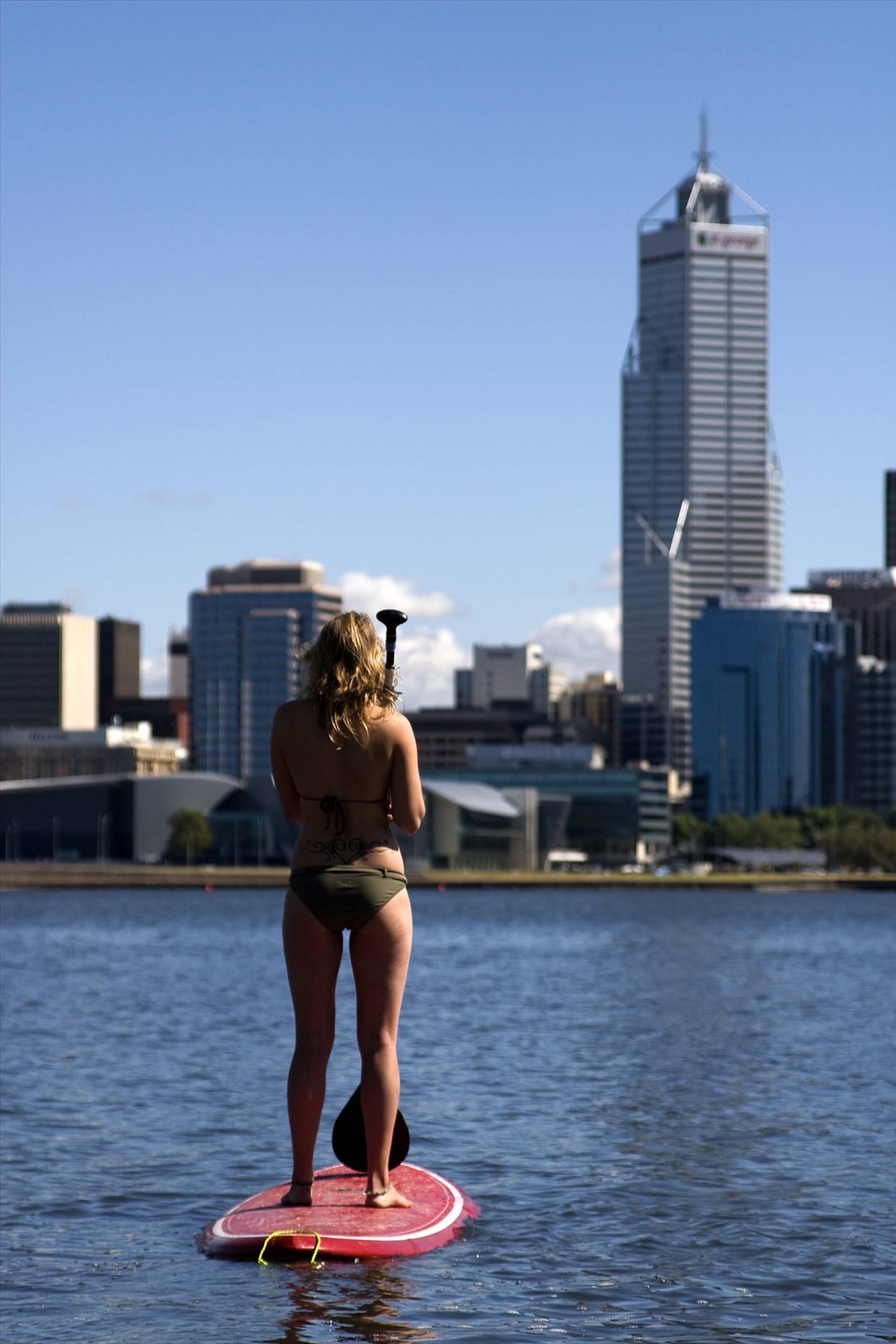 FLATWATER STAND UP PADDLE