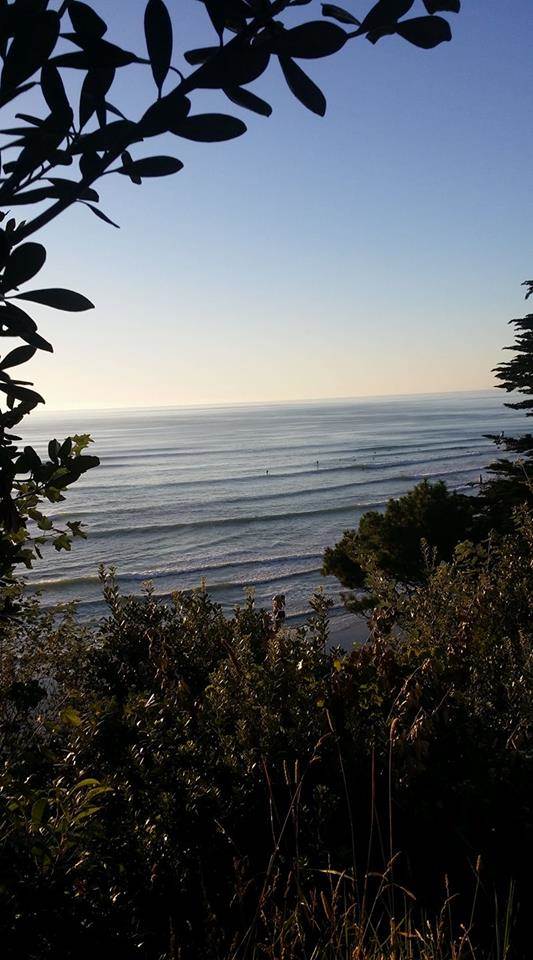 51811964 10157120481424312 6034622118249889792 n