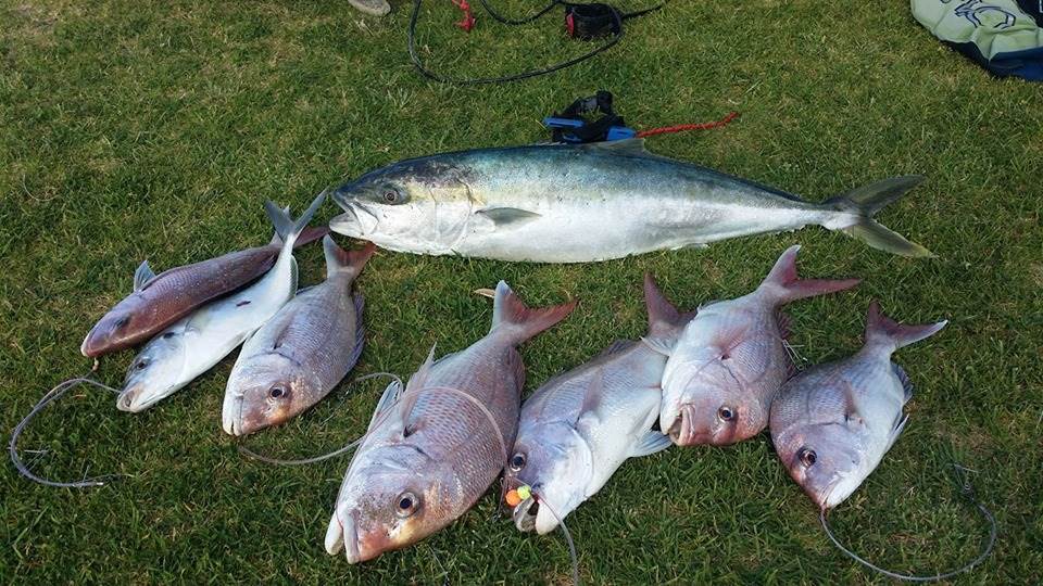 61444815 10157359823179312 2223317781011496960 n