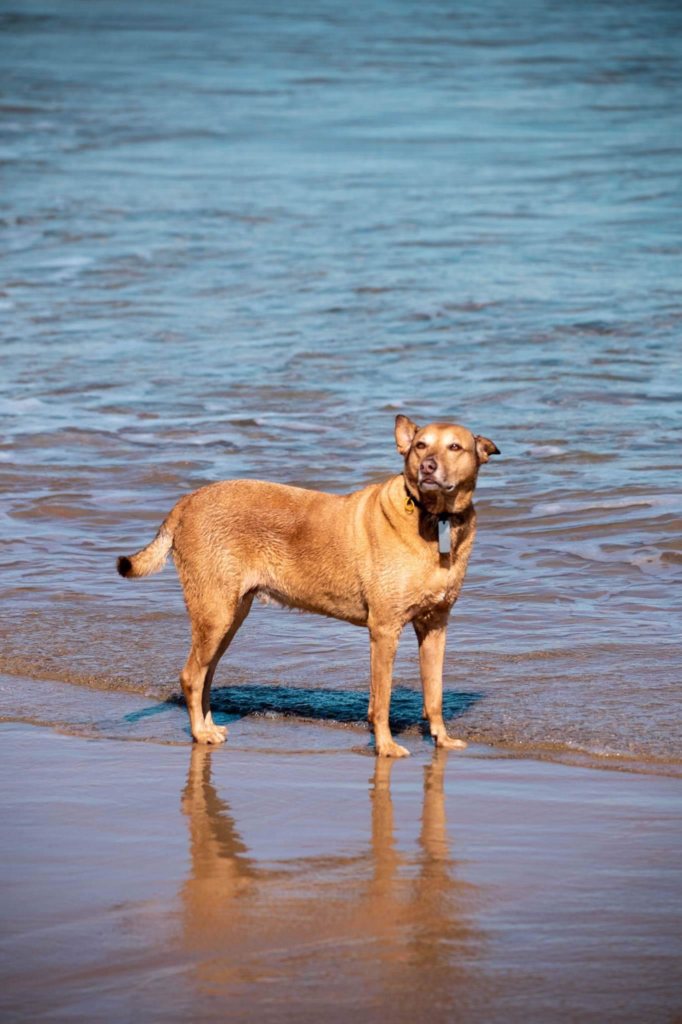 received 2341060812808111