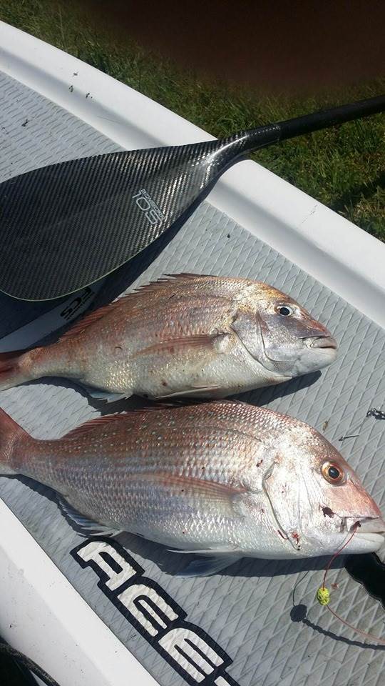 73016400 402955327251017 2197909665021427712 n