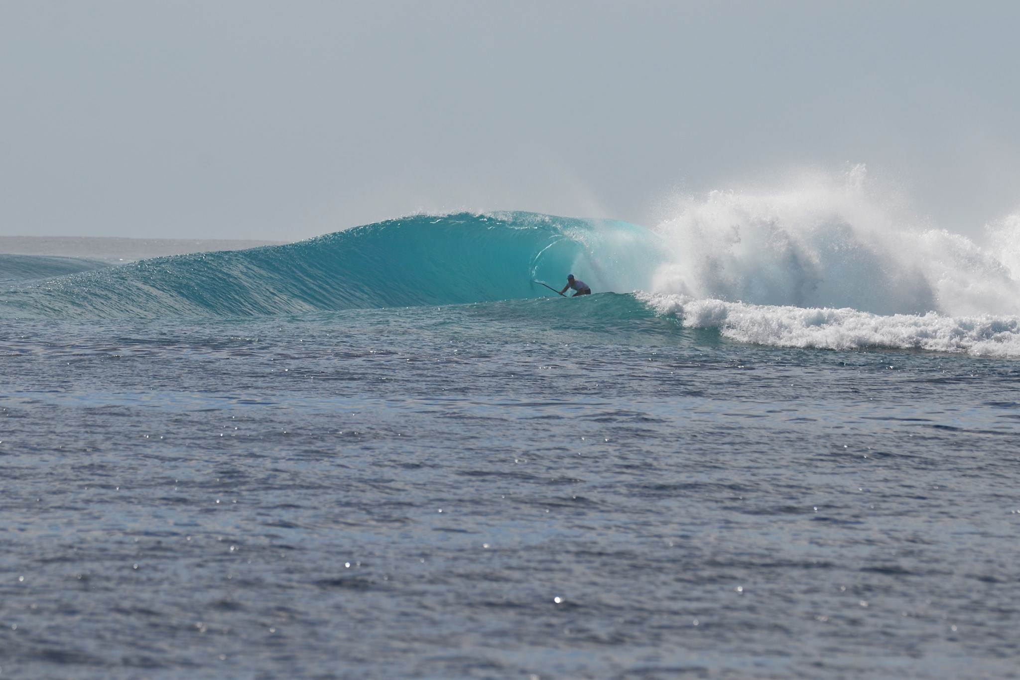 Maldives SUP Surfing