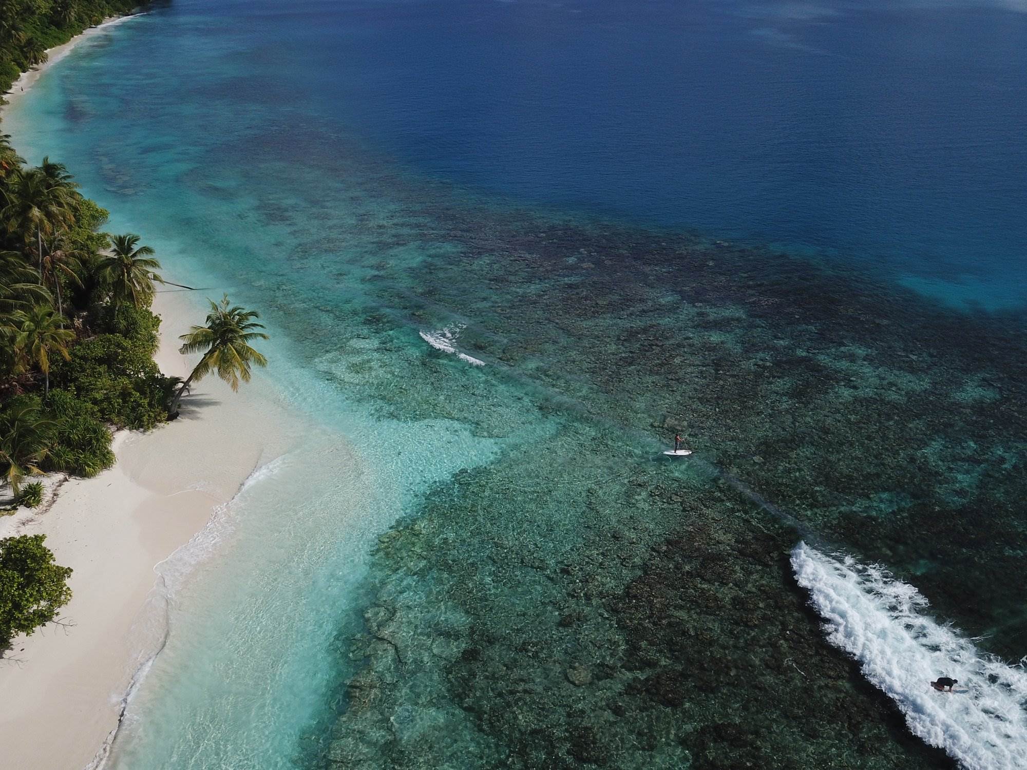 Maldives SUP Surfing