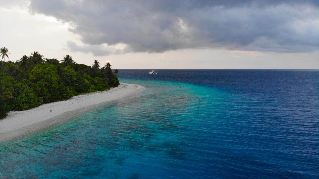 Maldives SUP Surfing