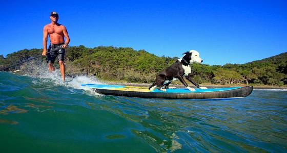 16 Laguna Bay Penetrator