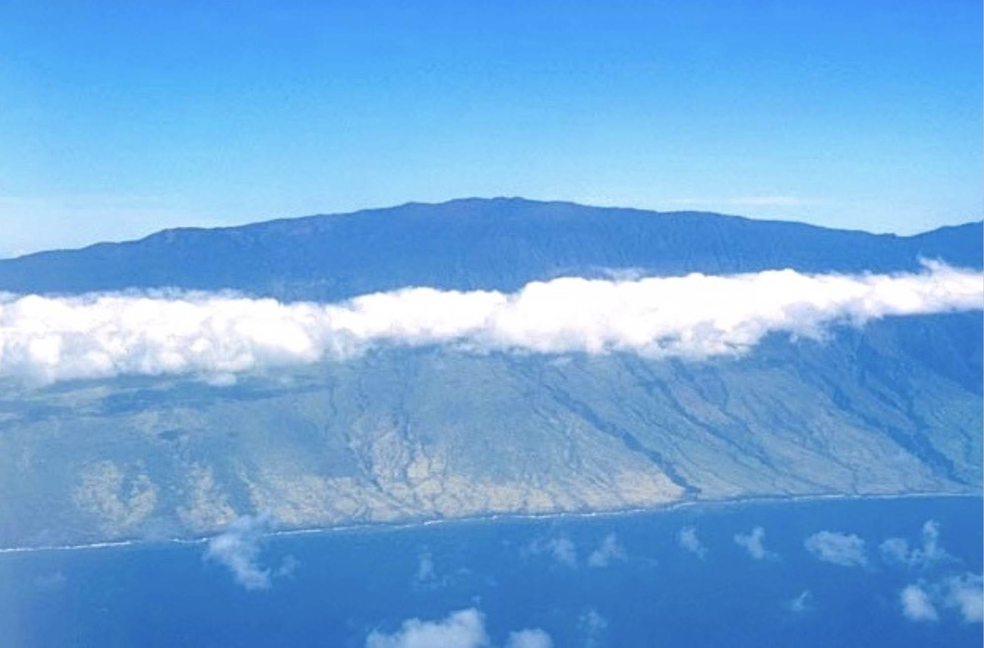 Screen Shot 2021-09-29 at 4.18.29 pm