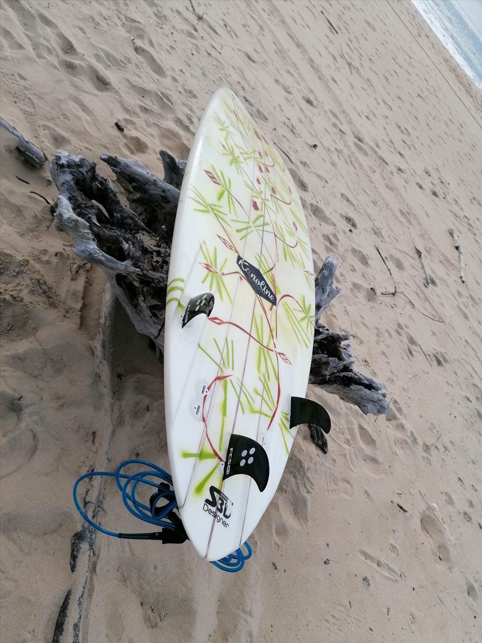 lrd bottom tail souche