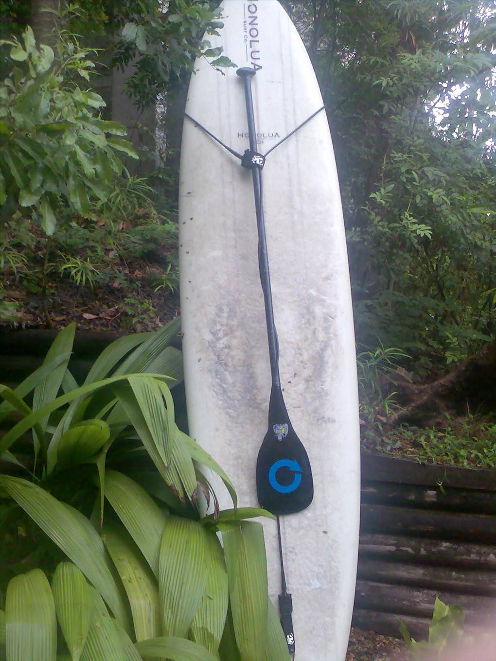 hold paddle to board