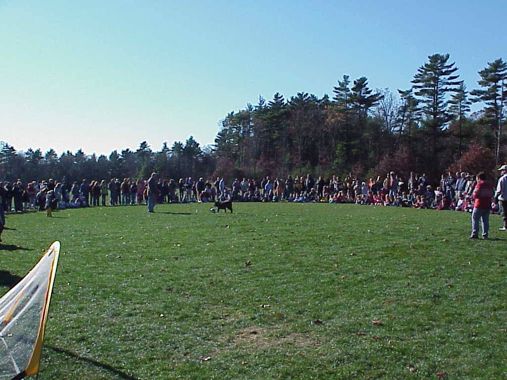 Samba soccer demonstration