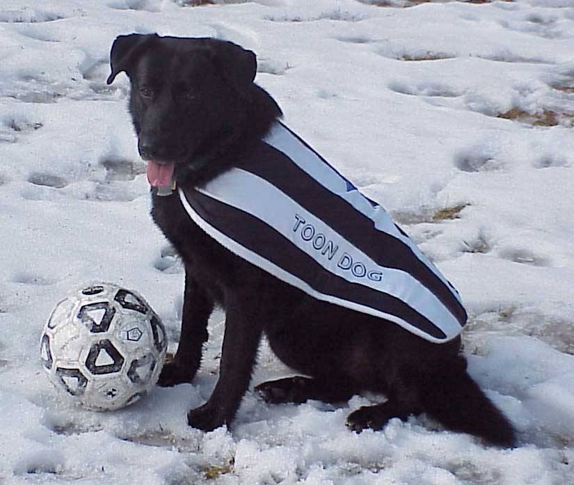 Samba soccer demonstration