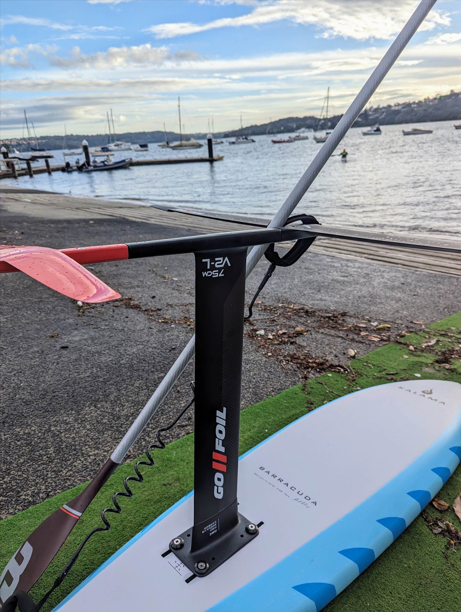 GoFoil V2 Mast
