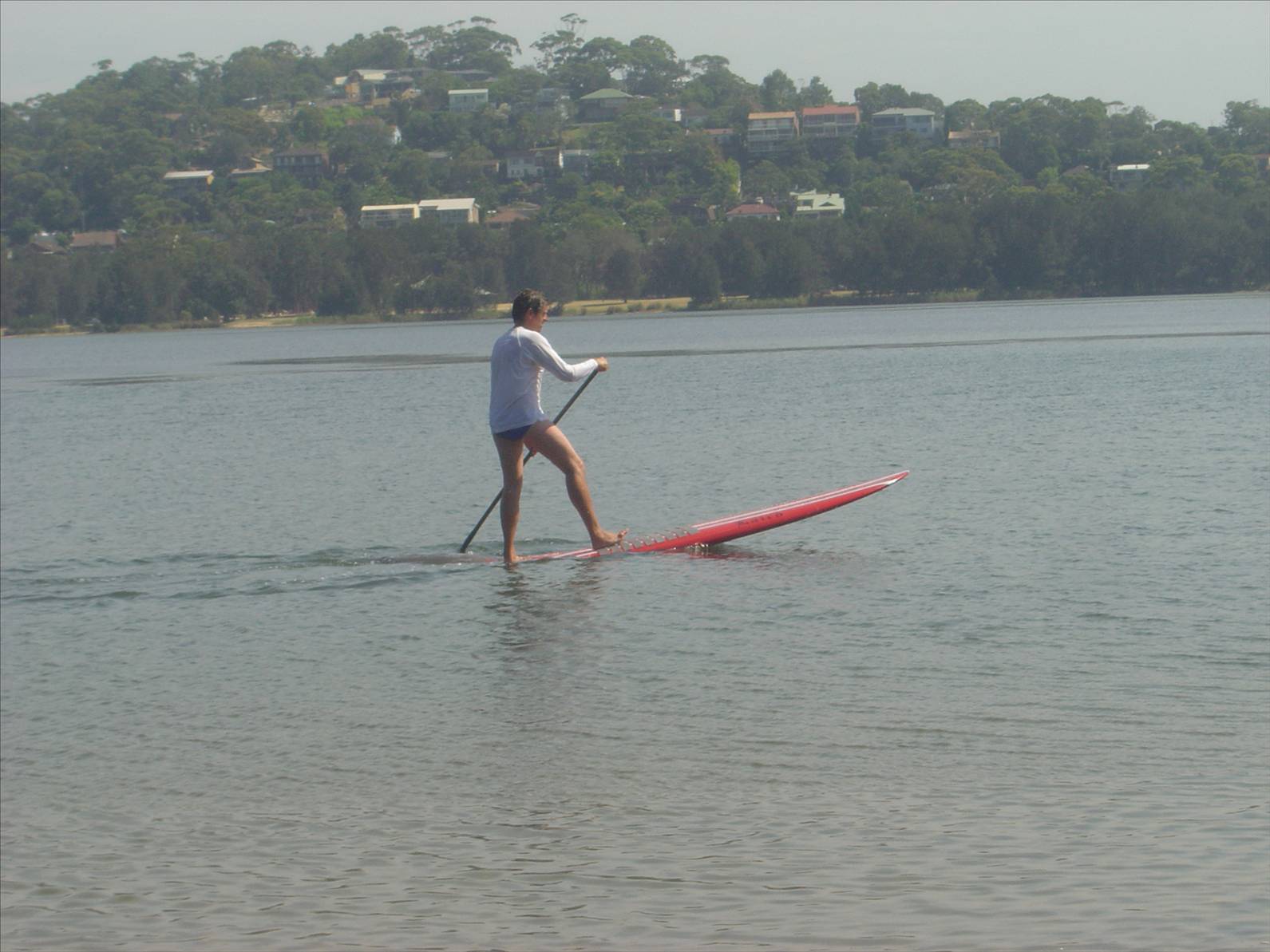 stand up paddle practice day at narrabeen lagoon