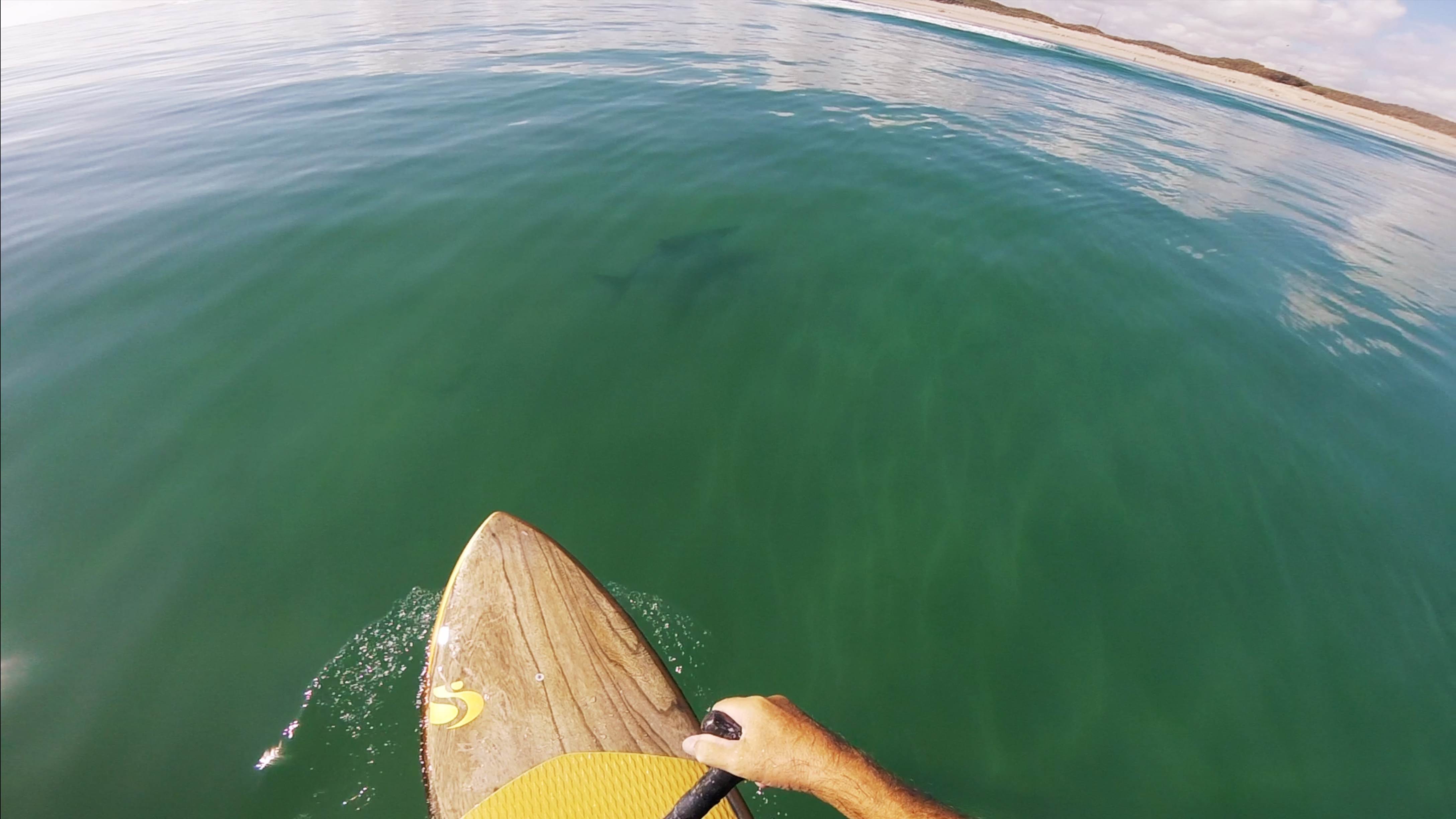 Screenshot 2025-02-18 at 7.50.15?PM